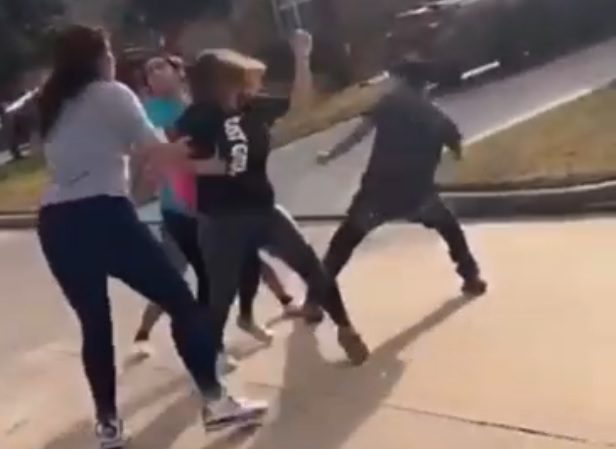 Many girls fighting at the same time in broad daylight.