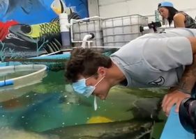 Man tries to feed fish with bait in his mouth and ends up turning the real food.