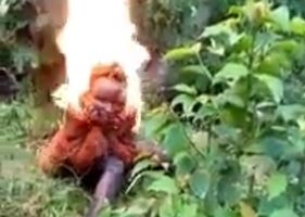 Woman burning alive in the undergrowth while people film her patience in get burned.