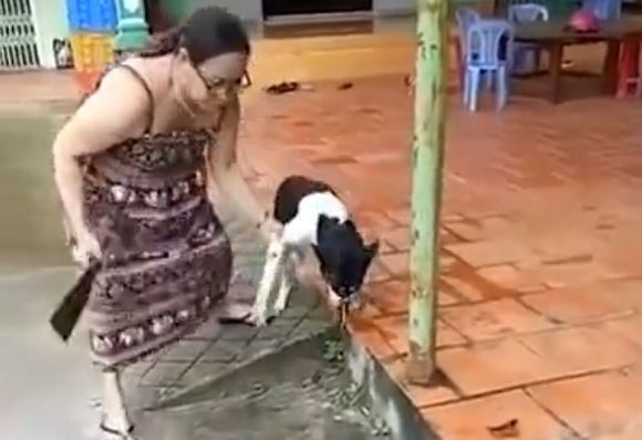 Evil woman reserves her little place in hell by practicing cruelty to  animals.