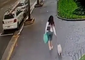 A woman walking her dog is robbed and dragged along the ground when she gets trapped on the thieves’ motorcycle.