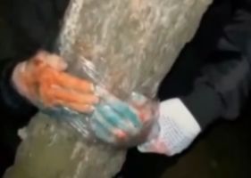 Woman having her fingers smashed with hammers and a boy having his fingers ripped off while trapped in a tree in Russia.