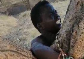 Young boy tied to a tree full of ants as a form of punishment for who knows what.