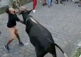 Brave and brave bull proves that he will not be mocked without reciprocating and making the scoffers pay a high price for their actions.