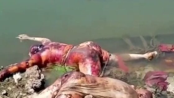 Dead bodies decomposing in the riverbed what the hell is this Photo 0001 Video Thumb