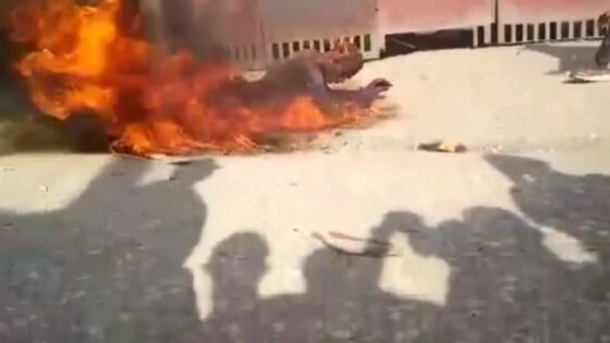 Alleged thief burned alive in haiti as onlookers celebrate Photo 0001 Video Thumb