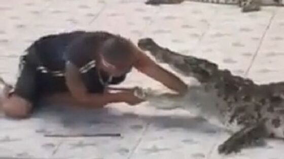 Crocodile chomps onto mans arm breaking his bones Photo 0001 Video Thumb