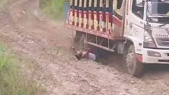 Man explodes after being crushed when he falls from a moving truck Photo 0001 Video Thumb