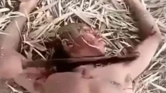Nigerian gang brutally beheads a man in nigeria to reinforce their violence that is ravaging the country Photo 0001 Video Thumb