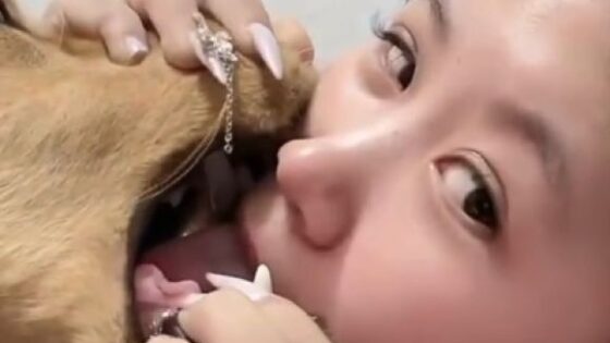 Why the hell is she doing this to the dog these chinese Photo 0001 Video Thumb