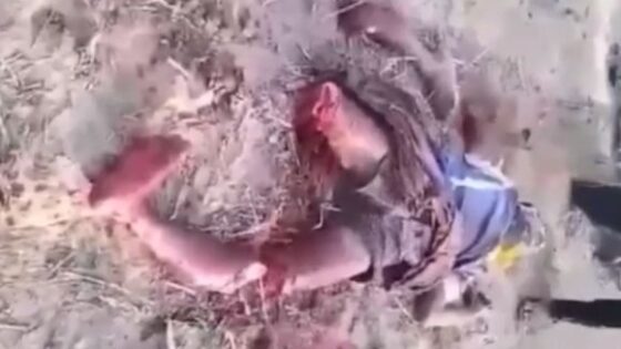Man dismembered alive in myanmar Photo 0001 Video Thumb