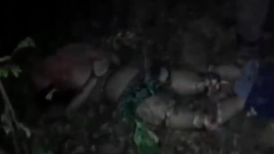 New dismemberment by chainsaw carried out by cartel in mexico in brutal execution Photo 0001 Video Thumb